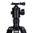 Rollei Lion Rock Traveller L Stativ Black Edition - Carbon Fibre