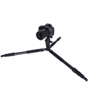 Rollei Lion Rock Traveller L Stativ Black Edition - Carbon Fibre