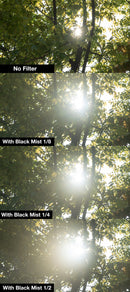 nisi-ireland-77mm-circular-black-mist-1-4-Quarter-comparison-trees