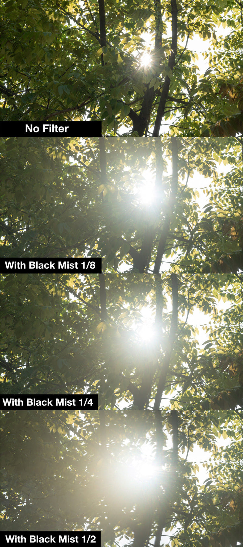 nisi-ireland-77mm-circular-black-mist-1-4-Quarter-comparison-trees